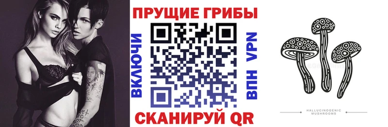 Галлюциногенные грибы Magic Shrooms  закладки  Армавир 